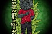 Buds Unlimited, LLC