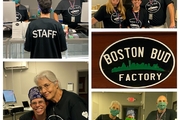 Boston Bud Factory