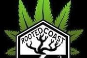 Rooted Coast Cannabis