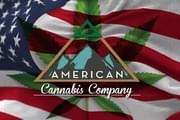 American Cannabis Company