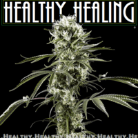 H.H. Healthy Healing Thumbnail Image