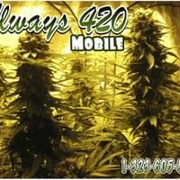 Always 420 Mobile Thumbnail Image