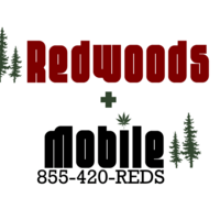 Redwoods Mobile Thumbnail Image