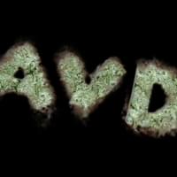 AVD Delivery Thumbnail Image