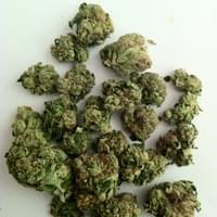 High Desert Medical Marijuana (HDMM) Thumbnail Image
