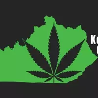 Kentucky Cannabis Docs | Medical Marijuana Card Doctor Thumbnail Image