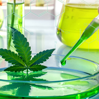 Bee's Buds Dispensary Thumbnail Image