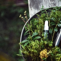 C&B CBD Dispensary Thumbnail Image