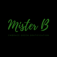 Mister B Thumbnail Image