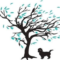 Windy City Pet Store Thumbnail Image