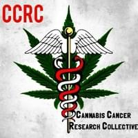 Cannabis Cancer Research Collective Corp. Thumbnail Image