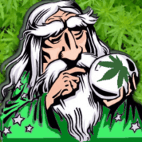 The Wizard of Herb Thumbnail Image