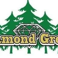 Diamond Green Thumbnail Image