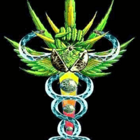 HempCo Cannabis Collective Thumbnail Image