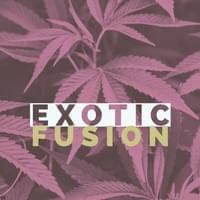 Exotic Fusion Thumbnail Image