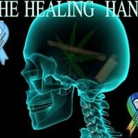 The Healing Hand Thumbnail Image
