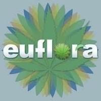Euflora - Buckley Thumbnail Image