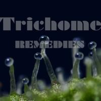 Trichome Remedies Thumbnail Image