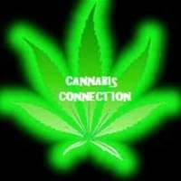Cannabis Connection -Temecula Thumbnail Image