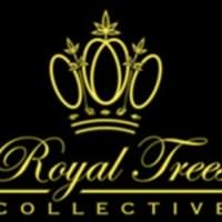 Royal Trees Thumbnail Image