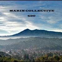 Marin Collective Thumbnail Image