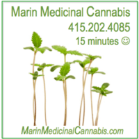 Marin Medicinal Cannabis Thumbnail Image