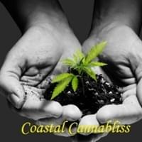 Coastal Cannabliss Thumbnail Image