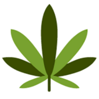 White Cedar Medical Cannabis Doctors Thumbnail Image