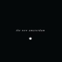 The New Amsterdam Thumbnail Image