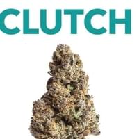 Clutch Cannabis Thumbnail Image