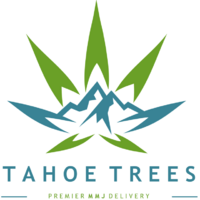 Tahoe Trees Thumbnail Image