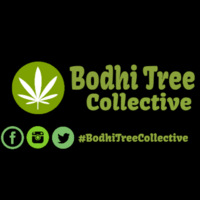 Bodhi Tree Collective Thumbnail Image