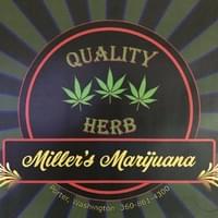 Miller's Marijuana Thumbnail Image