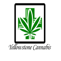 Yellowstone Cannabis Thumbnail Image