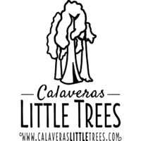 Calaveras Little Trees Thumbnail Image