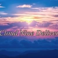 Cloud Nine Delivery Thumbnail Image