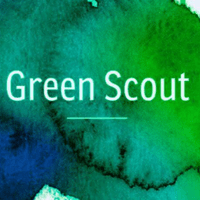 Green Scout Thumbnail Image