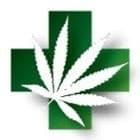 Cannabis Supply Co Thumbnail Image