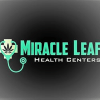 Miracle Leaf - Hollywood Thumbnail Image