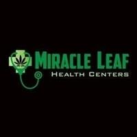 Miracle Leaf Thumbnail Image