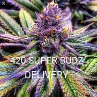 420 Super Budz Thumbnail Image
