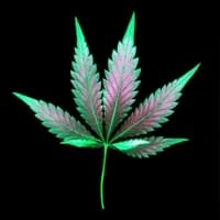 www.marijuanadelivery.me Thumbnail Image