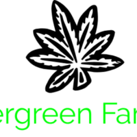 Evergreen Farms Thumbnail Image