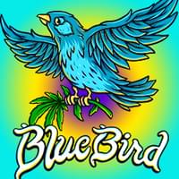 Blue Bird Delivery Thumbnail Image