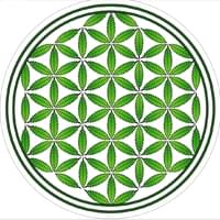 The Flower of Life Thumbnail Image