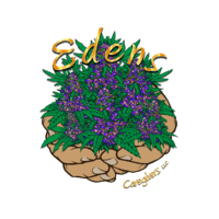 Edens 207 Thumbnail Image