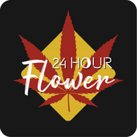 24 Hour Flower Thumbnail Image