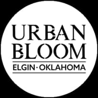 Urban Bloom Thumbnail Image