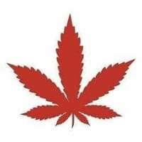 Canna North Cannabis - Nepean Thumbnail Image
