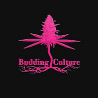 Budding Culture Thumbnail Image